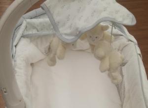 Life at Conception Act of 2017