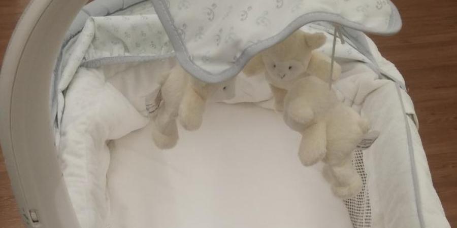 Life at Conception Act of 2017