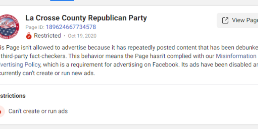 This is how Big Tech influence elections